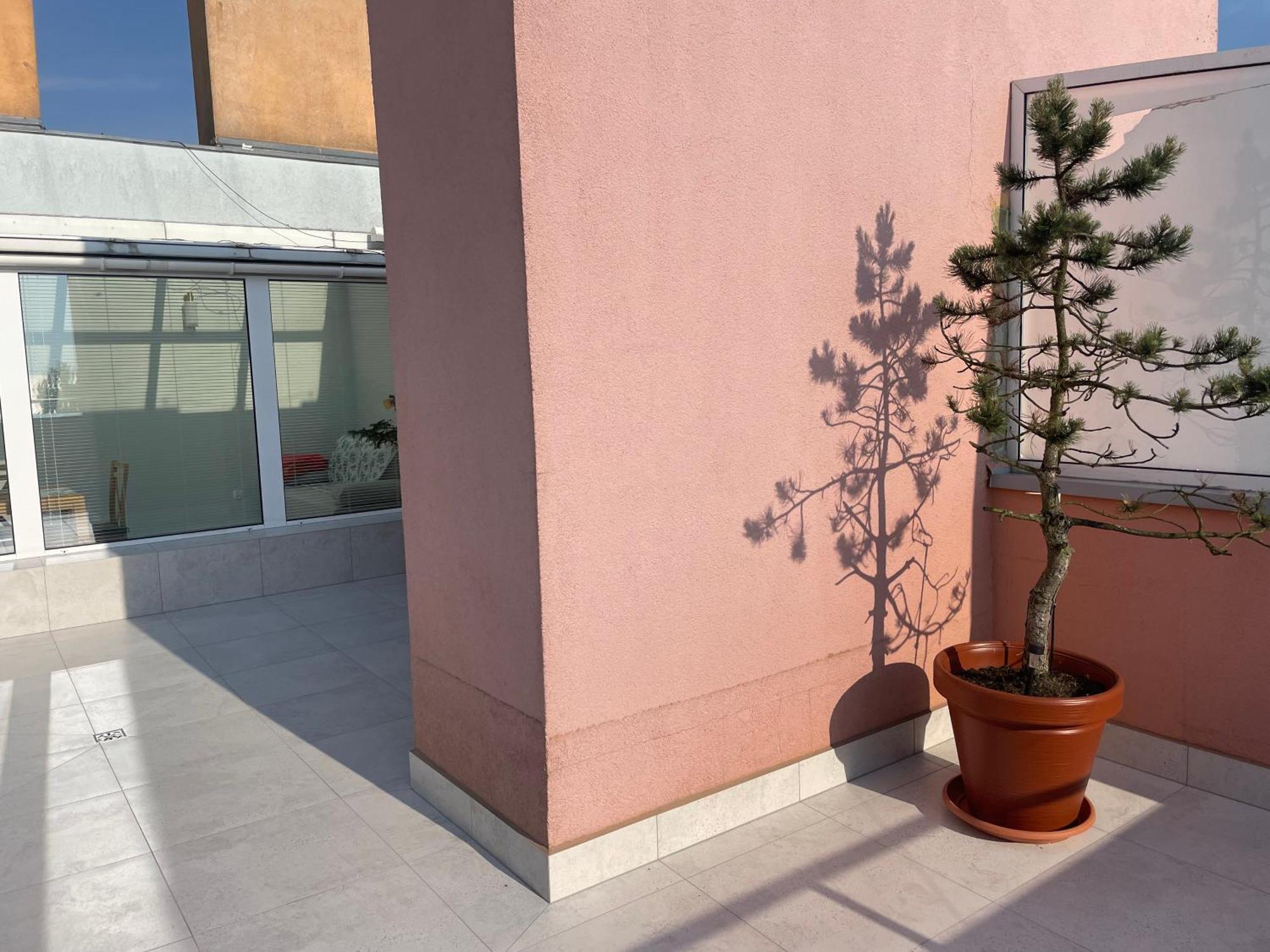 Wolin-Travel Fala Apartamenty Z Widokiem Na Morze مينززدرويه المظهر الخارجي الصورة